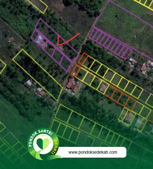 program - Pondok Santri Sehati - 5